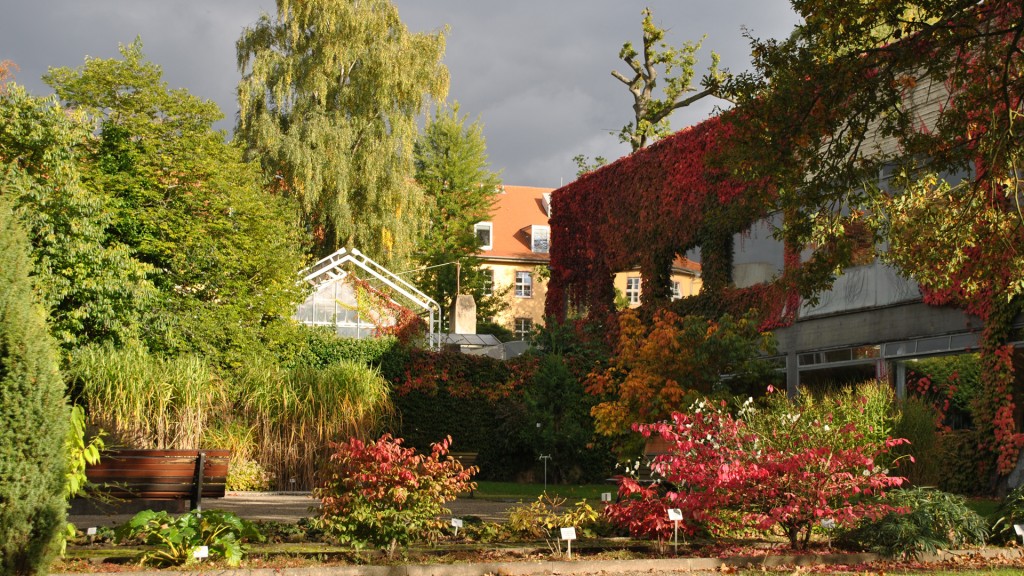 Der botanische Garten in Saarbrücken (Foto: Universität des Saarlandes, Saarbrücken)