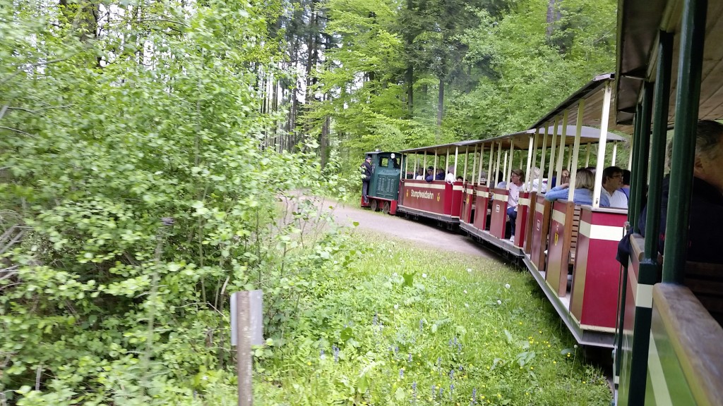 Stumpfwaldbahn im Pfälzerwald (Foto: Eva Lippold)