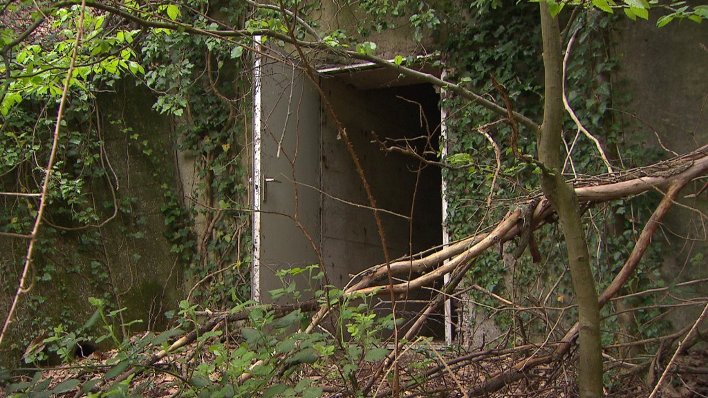 Foto: Ein Bunker im Wald