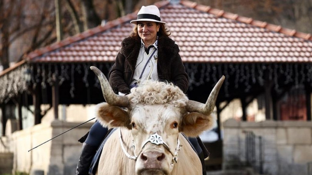 Sabine Rouas mit ihrem Ochsen Aston