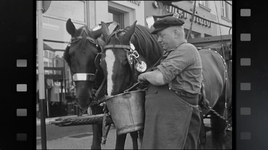 Foto: Kutscher füttert Pferde einer Kutsche