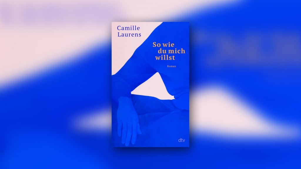 Cover: Camille Laurens - So wie du mich willst