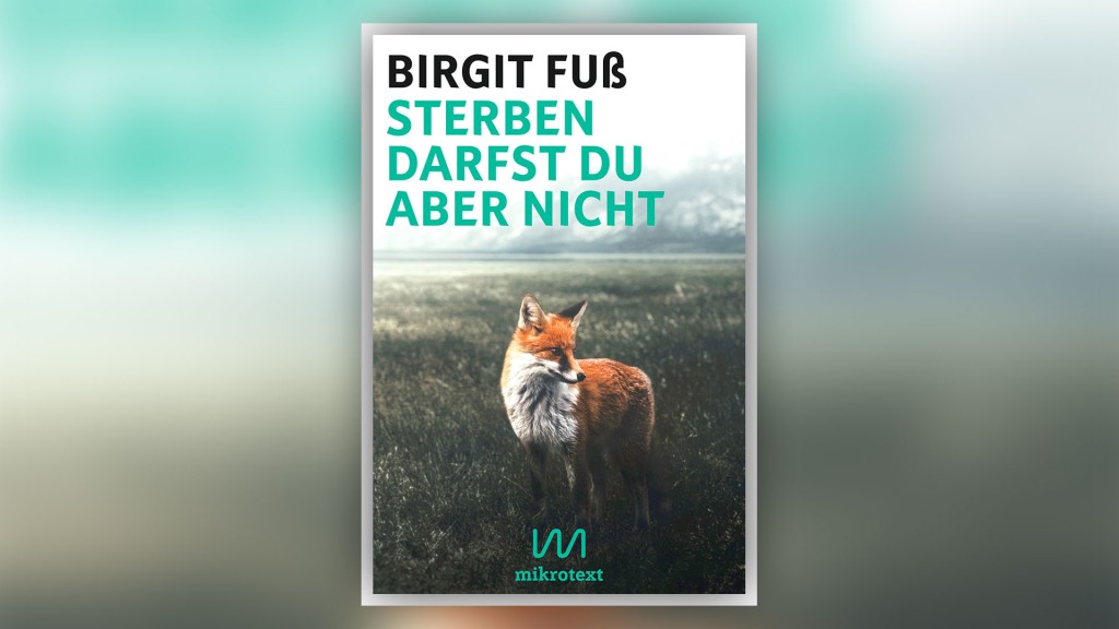 Buchcover: Birgit Fuß – Sterben darfst du aber nicht