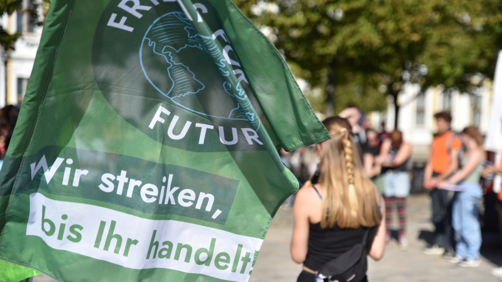 Eine Fahne von Fridays for Future auf einer Klimademonstration