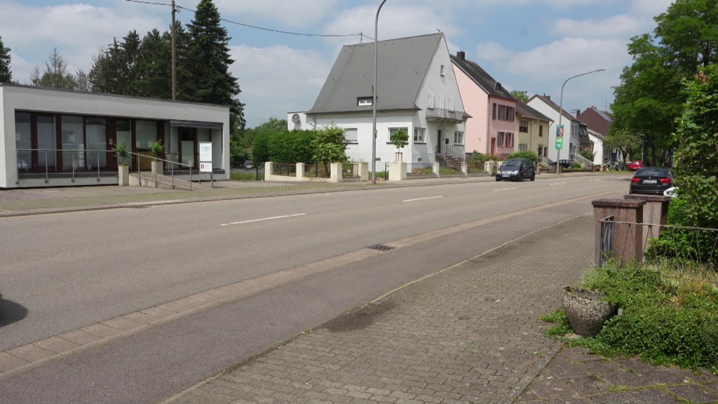 Foto: Eingepflanzter Baum vor einem Haus