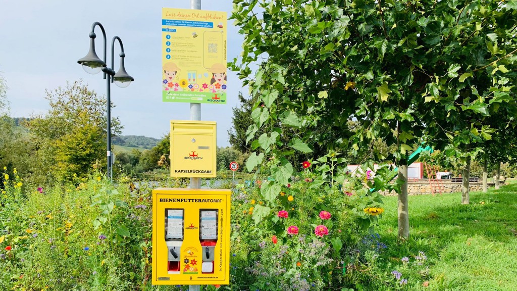 Bienenfutterautomat mit dem Blumenfeld in Besch