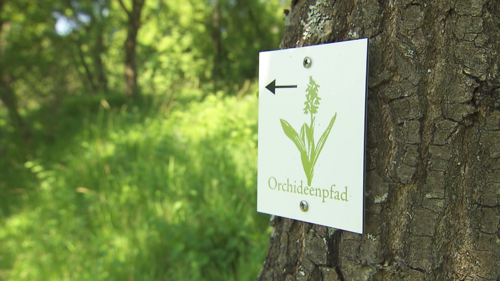 Foto: Orchideenpfadschild