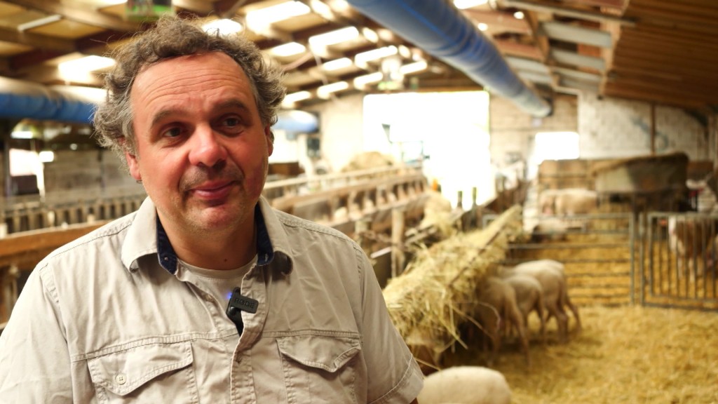 Foto: Käsehersteller im Schafsstall