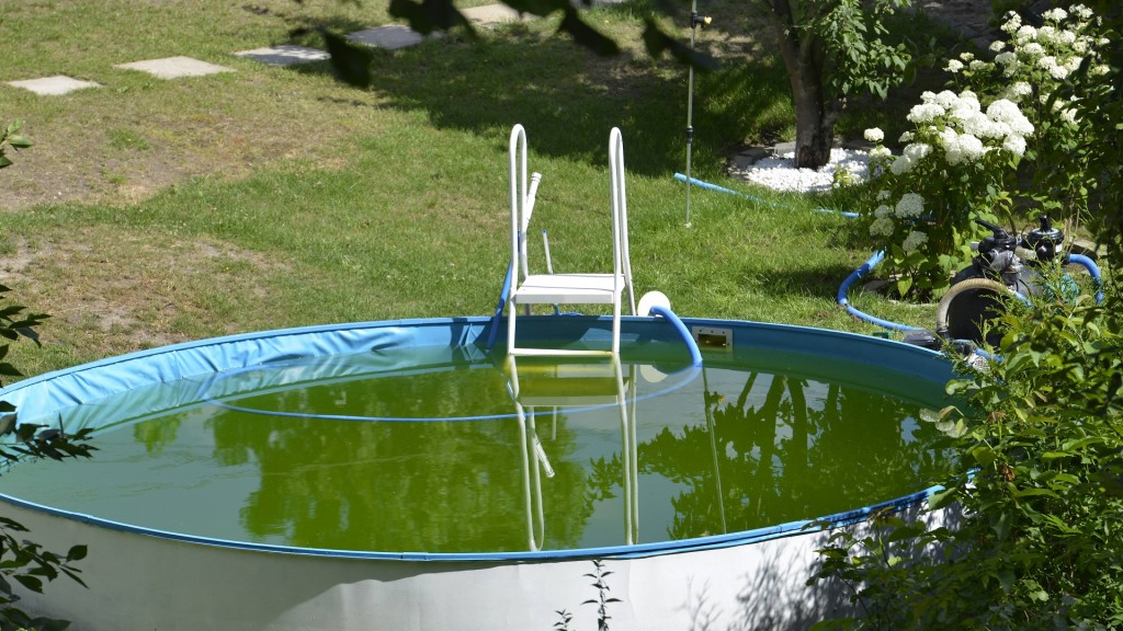 Foto: Swimmingpool im Garten