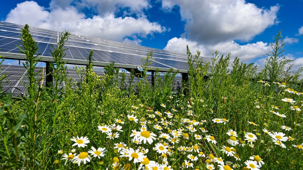 Solarpark und Natur