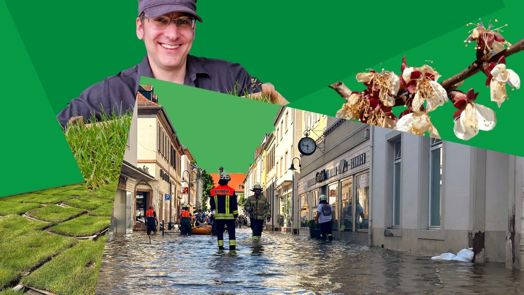 Der SR 3- Jahresrückblick