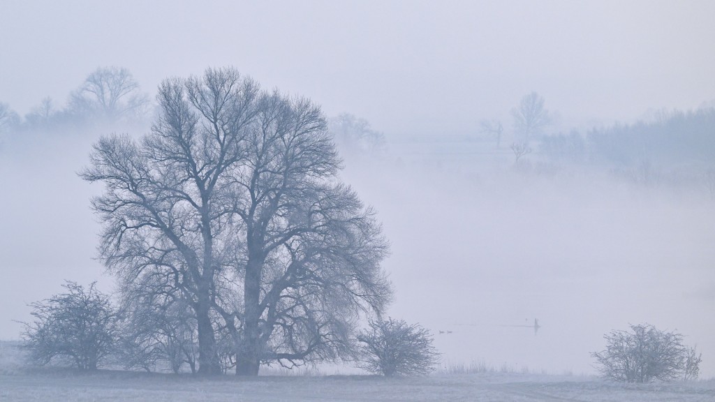 Nebel und Raureif verschleiern die Landschaft am Morgen