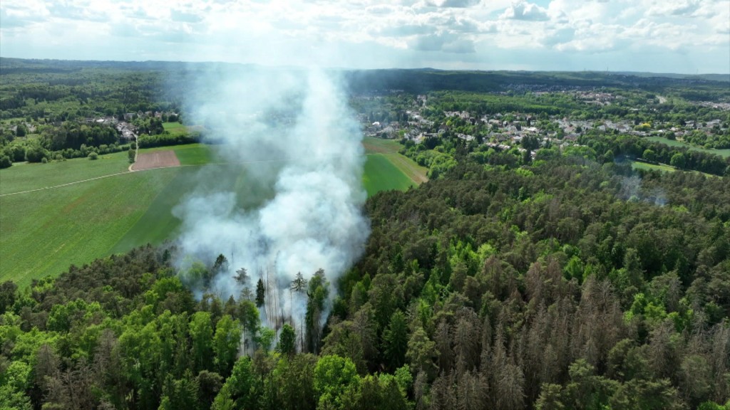 Foto: Rauchentwicklung über Wald