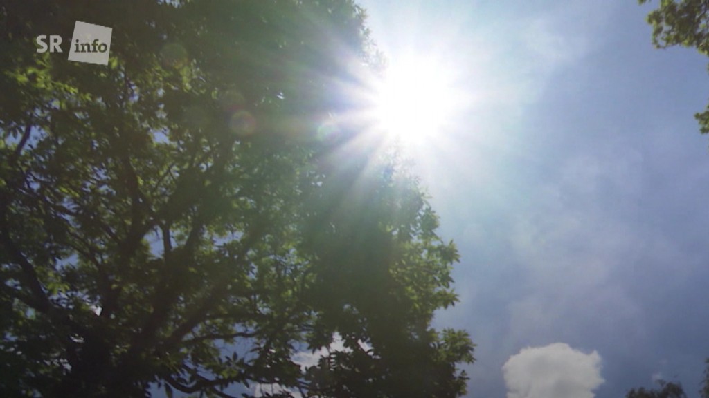 Foto: Strahlender Sonnenschein durch Baumkronen