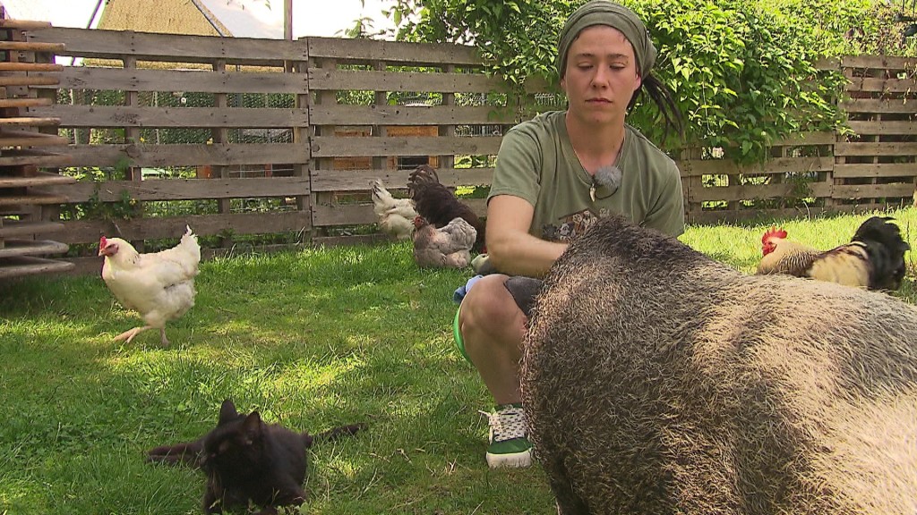 Foto: Morgane Nimeskern mit Schwein und Hühnern auf ihrem Gnadenhof