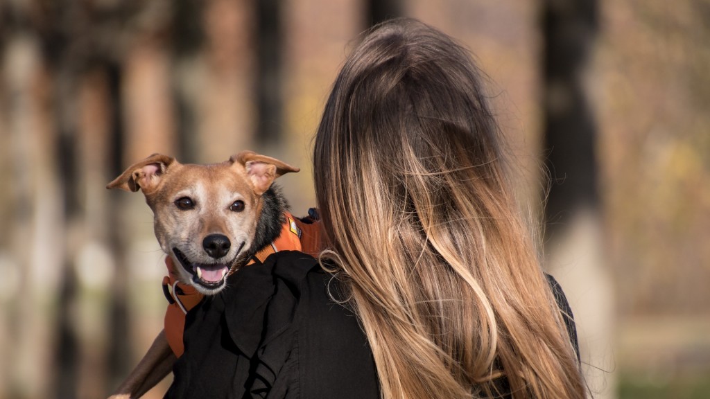 Ein Frau trägt einen Hund auf dem Arm
