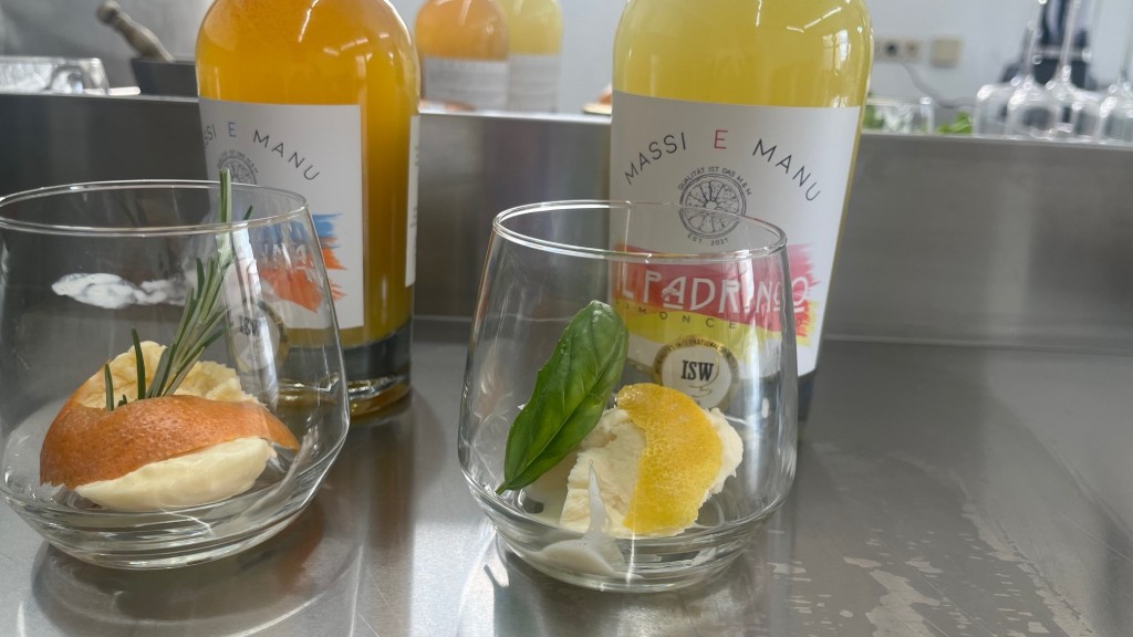 Orangen- und Zitroneneis von Massi und Manu