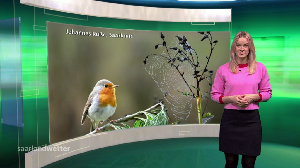 Foto: Fritzi Brandt im Studio