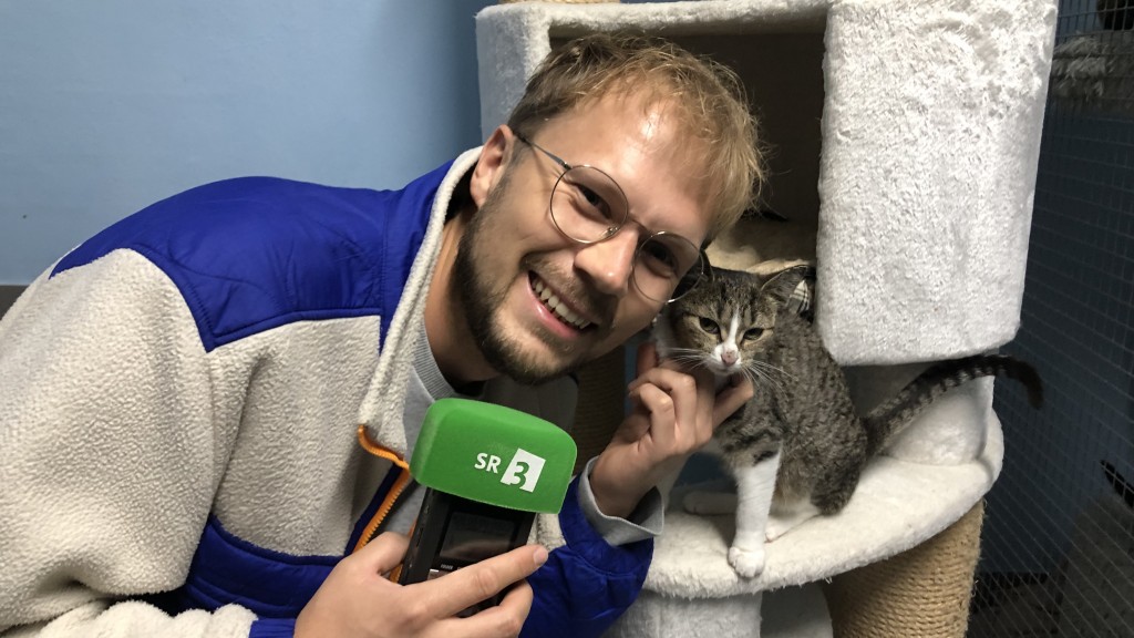 Reporter Lukas Baumann im Katzenhaus St. Ingbert