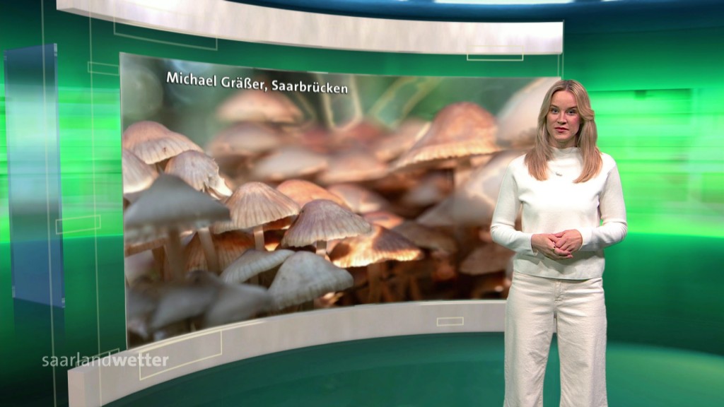 Foto: Fritzi Brandt im Studio