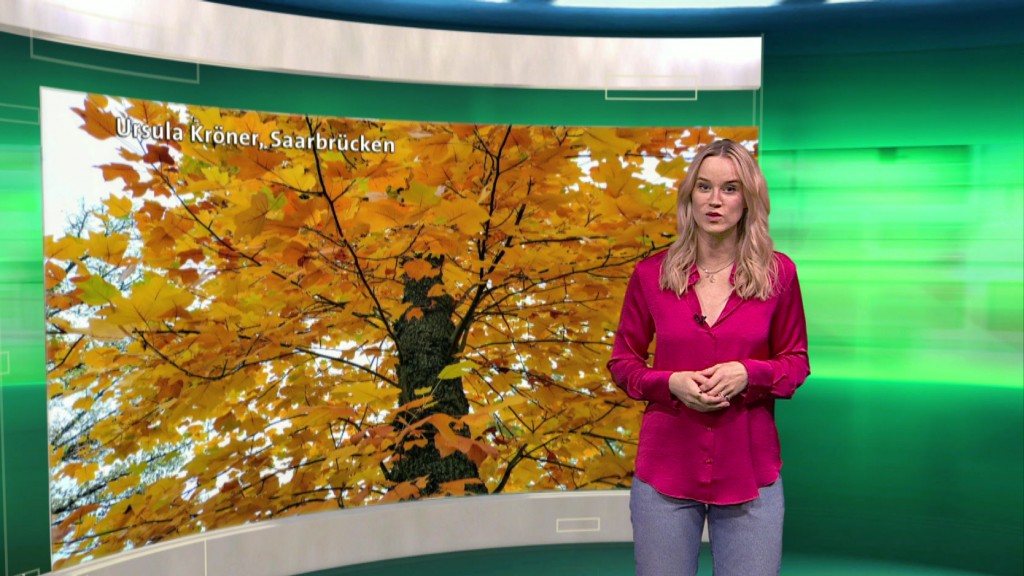 Foto: Fritzi Brand im Studio