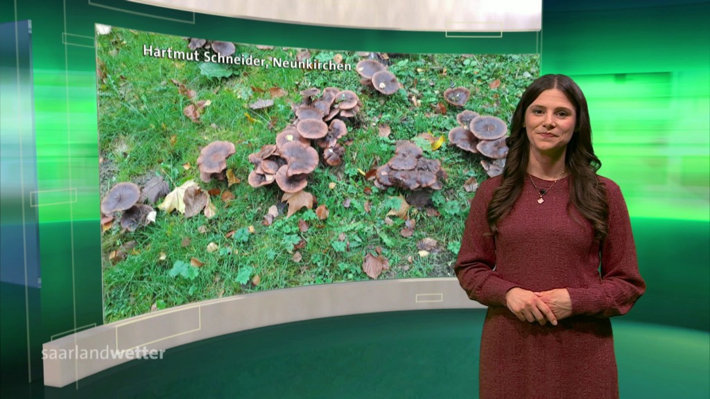 Foto: Jessi Ziegler im Studio