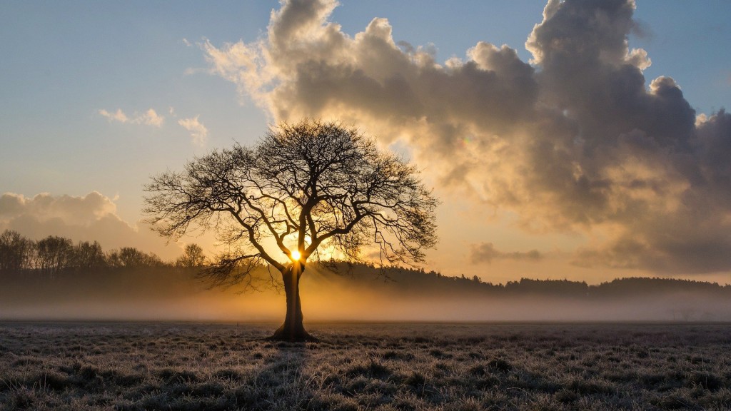 Ein nebliger Sonnenaufgang im Herbst