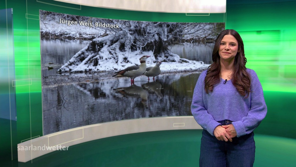 Foto: Jessi Ziegler im Studio