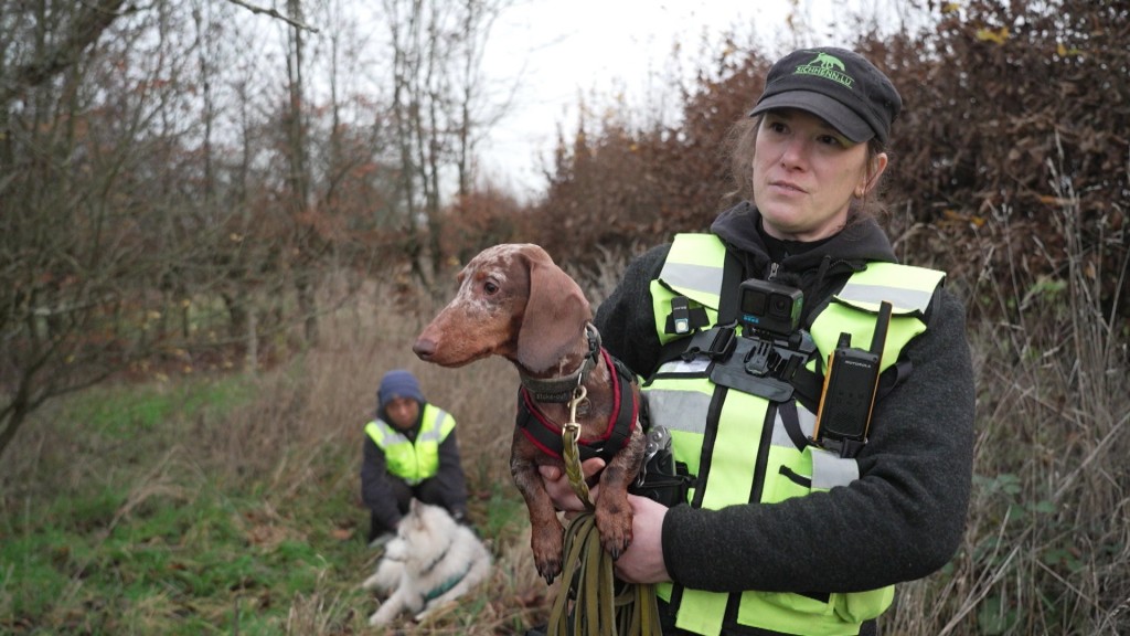 Foto: Frau mit Spürhund