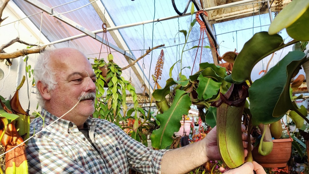 Christian Klein mit Kannenpflanze