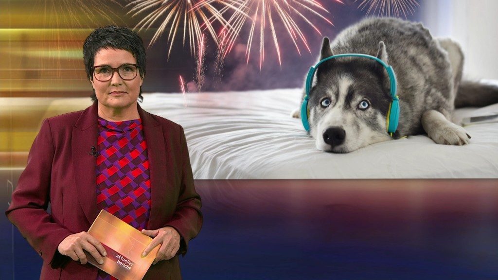 Foto: Sonja Marx im Studio