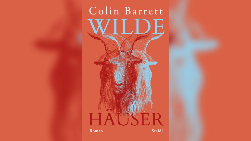 Buchcover - Colin Barrett: 