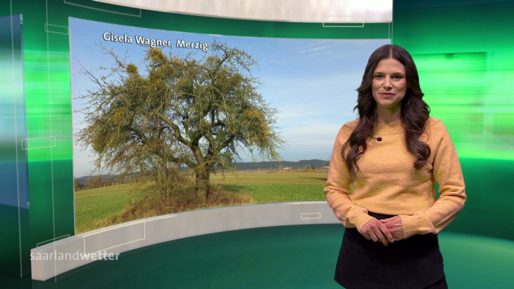 Foto: Jessi Ziegler im Studio