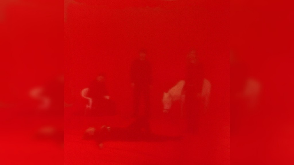 Album-Cover: Panda Lux – Herz