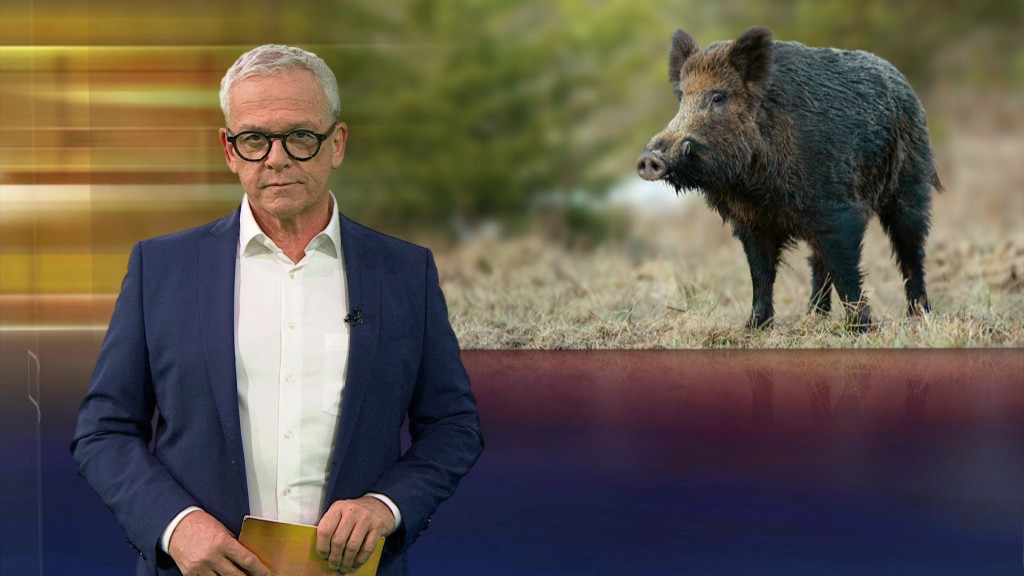 Foto: Joachim Weyand im Studio