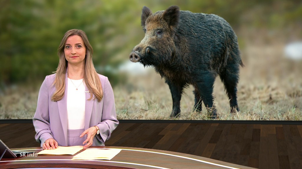 Foto: Eva Mieves im Studio