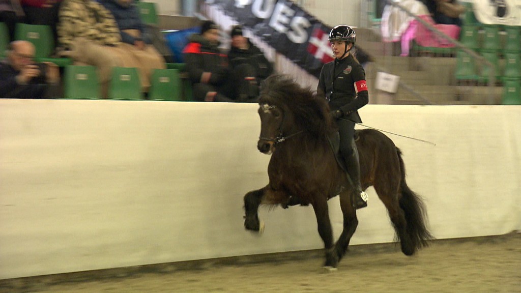 Foto: Reiterin bei dem Viking Masters Turnier 