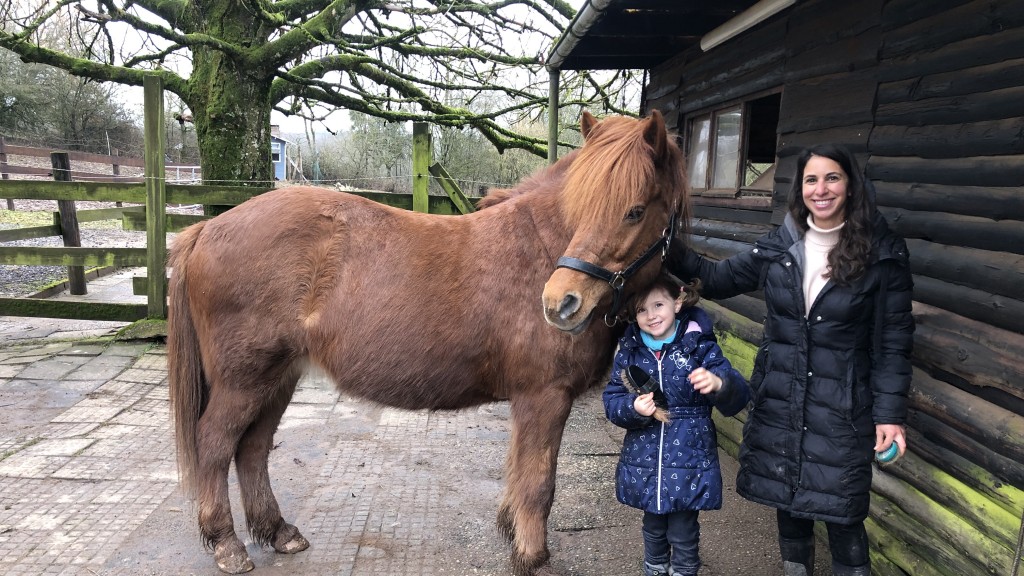 SR 3 Tierecke: Therapiehof in Alsting