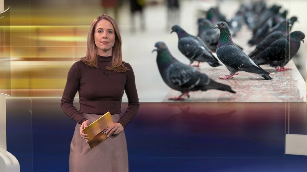 Foto: Julia Lehmann im Studio