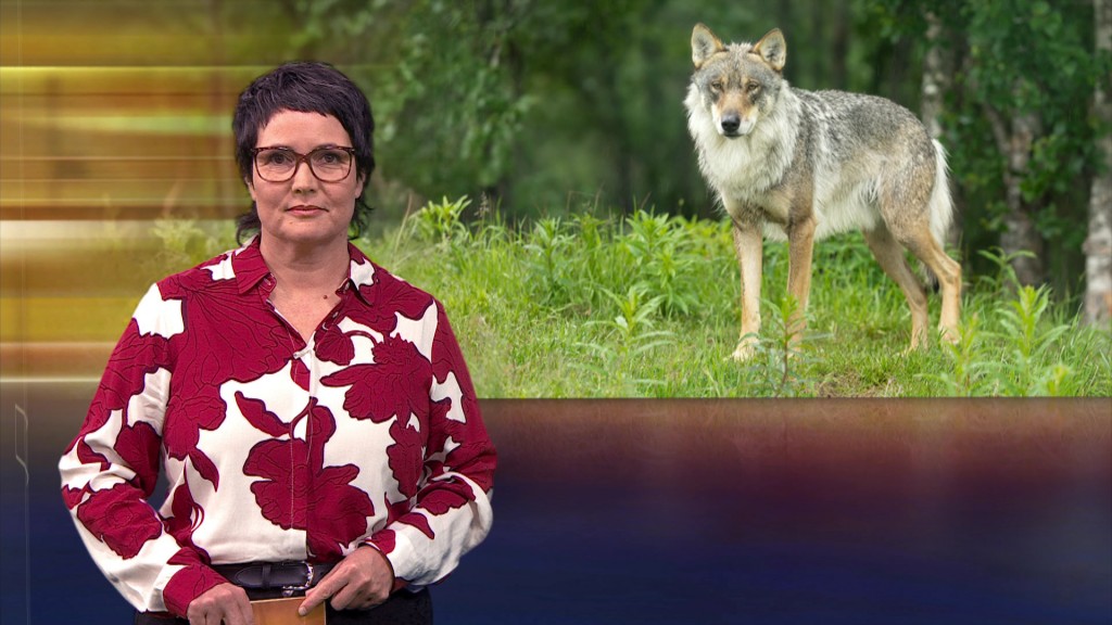 Foto: Sonja Marx im Studio