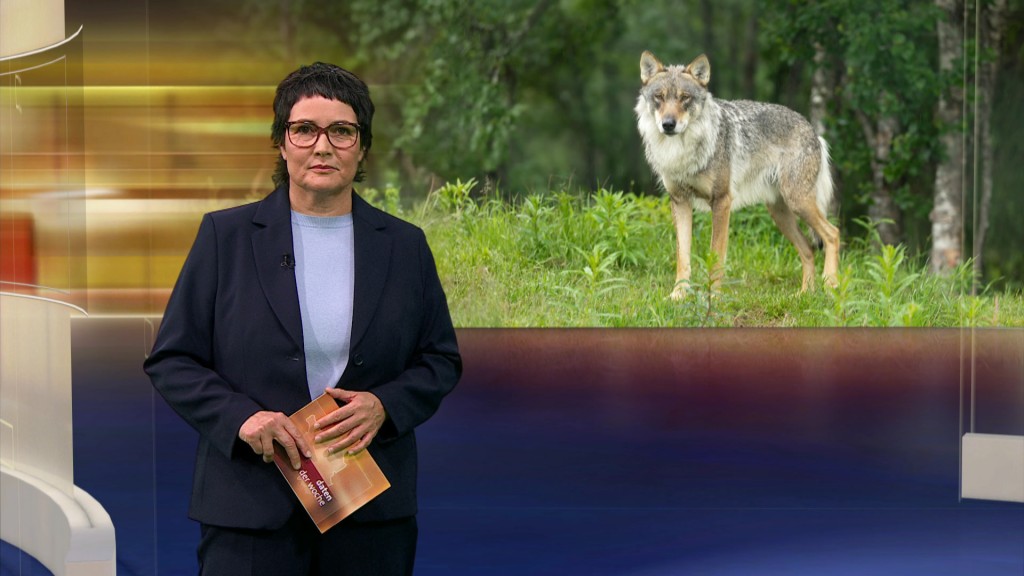 Foto: Sonja Marx im Studio