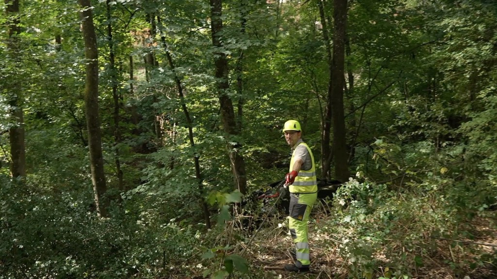 Foto. Björn Schleppi