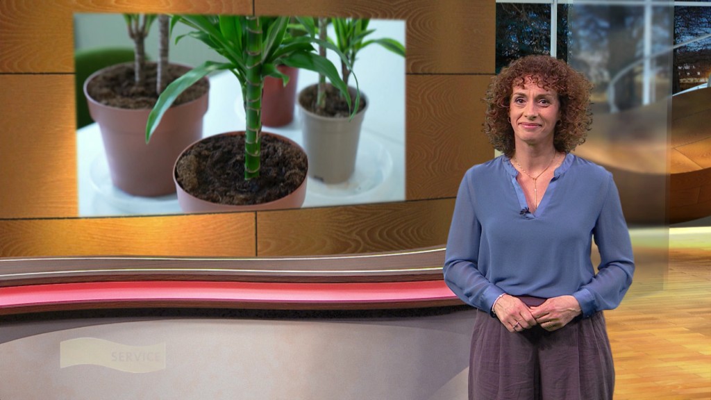 Foto: Christine Alt im Studio