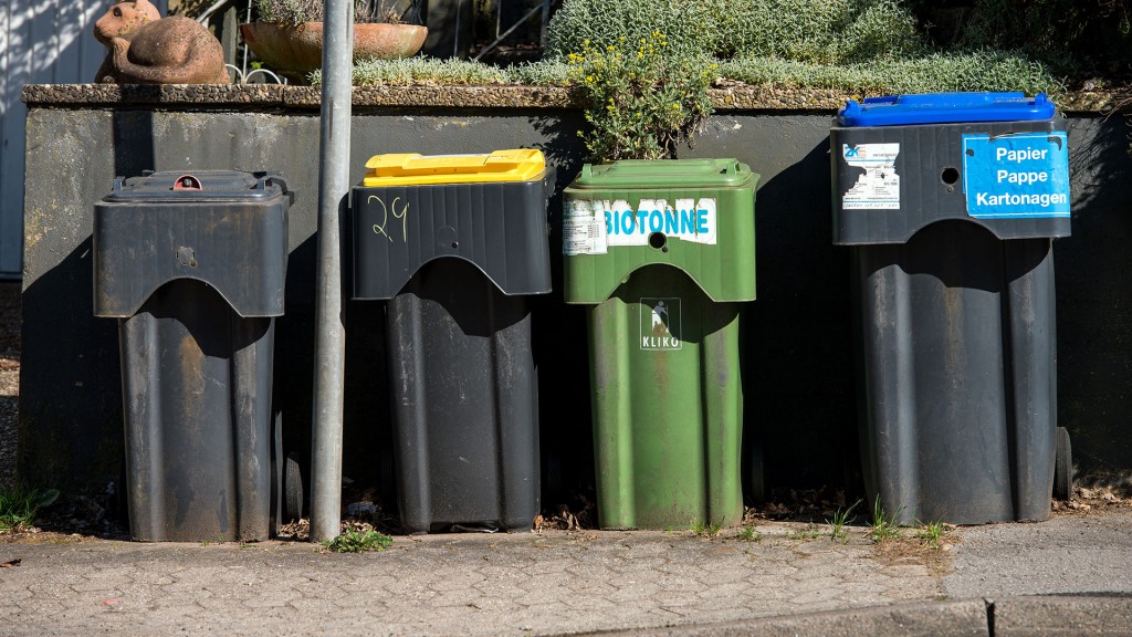 Verschiedene Mülltonnen für Restmüll, Kunststoffabfall, Biomüll und Papier stehen am Straßenrand