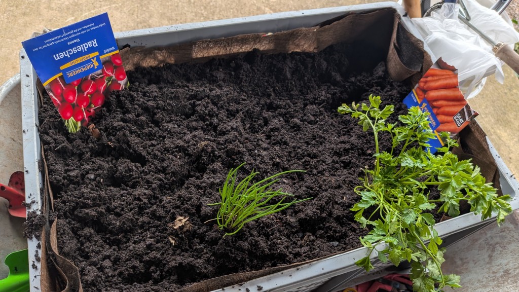 Mini-Beet in Bäcker-Kiste