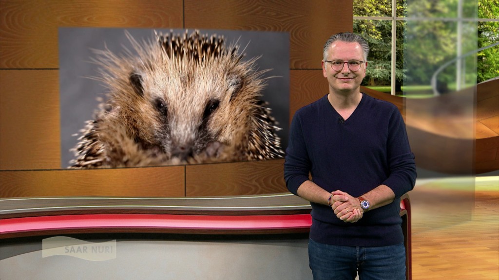 Michael Friemel im Studio 