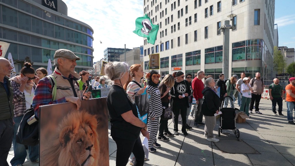 Foto: Tierschützer demontrieren gegen Zoos