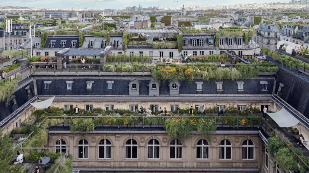 Foto: das begrünte Dach eines Altbaus in Paris