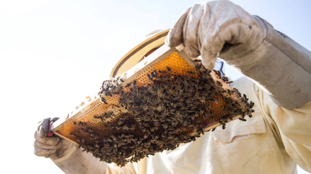 Bienenwabe