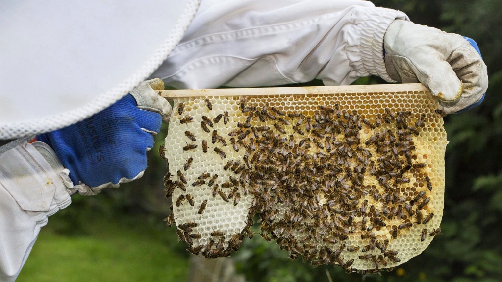 Imker Bienen Wabe Gemüllwindel
